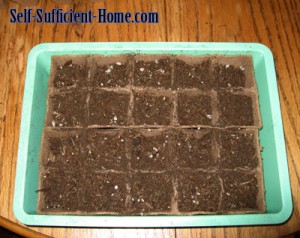 seedling-tray